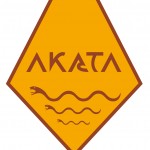 Logo Akata OK_Illustrator.ai