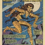 39 Comic books de Frank Robbins chez DC et Marvel