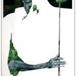 Toppi3