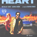 28 wild at heart