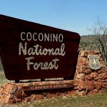 Coconino County 1.jpg