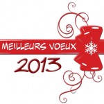 VoeuxErikArnoux2013