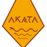 Logo Akata OK_Illustrator.ai