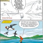 Extraits d'Astérix chez les Pictes (copyright éd. Albert René - 2013) : storyboards de Ferri et dessin de Conrad.