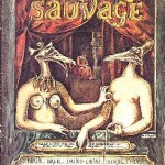 Canard sauvage4