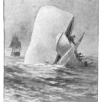 llustration de "Moby-Dick" en 1892, par A. Burnham Shute