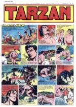 tarzan119