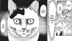 Le-Journal-des-Chats-de-Junji-Ito-malefique