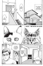 Le-Journal-des-Chats-de-Junji-Ito-nouveau