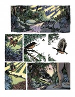 Planche 01 oiseau