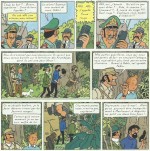 « Tintin et les Picaros » page 29.