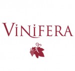 viniferalogo