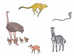 Quelques animaux de la savane