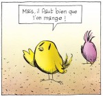 Un oiseau affamé