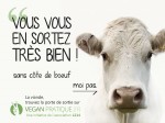 affiche-vegan-pratique-prop-01