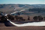 Christo and Jeanne-Claude  Running Fence, Sonoma and Marin Counties, California, 1972-76  Photo: Wolfgang Volz  © 1976 Christo