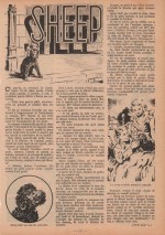 « Sheep » Fillette n° 312 (10/07/1952).