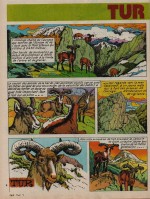 « Tur le bouquetin » : Fripounet n° 51 (10/12/1974).