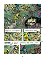 29_MARSUPILAMI_33