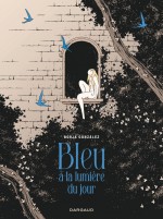 bleu-la-lumiere-du-jour