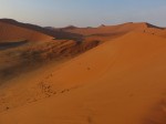 Désert du Namib.