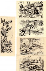 Illustrations pour Safari n° 147 (mars 1982).