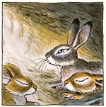 Watership Down page 100 case 1
