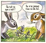 Watership Down page 100 case 3