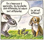 Watership Down page 100 case 4