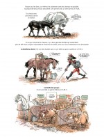 CHEVAL A TRAVERS LES AGES_48