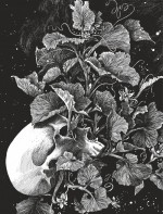 Couverture de la version noir et blanc (Dupuis 2025).
