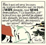 Forbans page 186 case 2 Forbans page 186 case 2