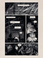 Soli Deo Gloria 2 Soli Deo Gloria 2