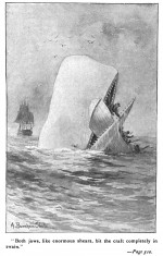 Illustration par Augustus Burnham Shute pour « Moby-Dick » (édition de 1896).
