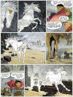 « Les Tours de Bois-Maury T3 : Sigurd ».