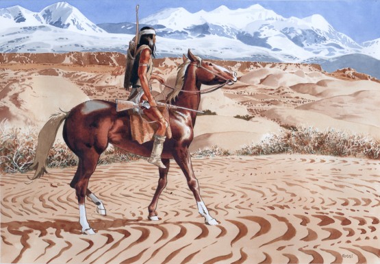 Comanche Trail D